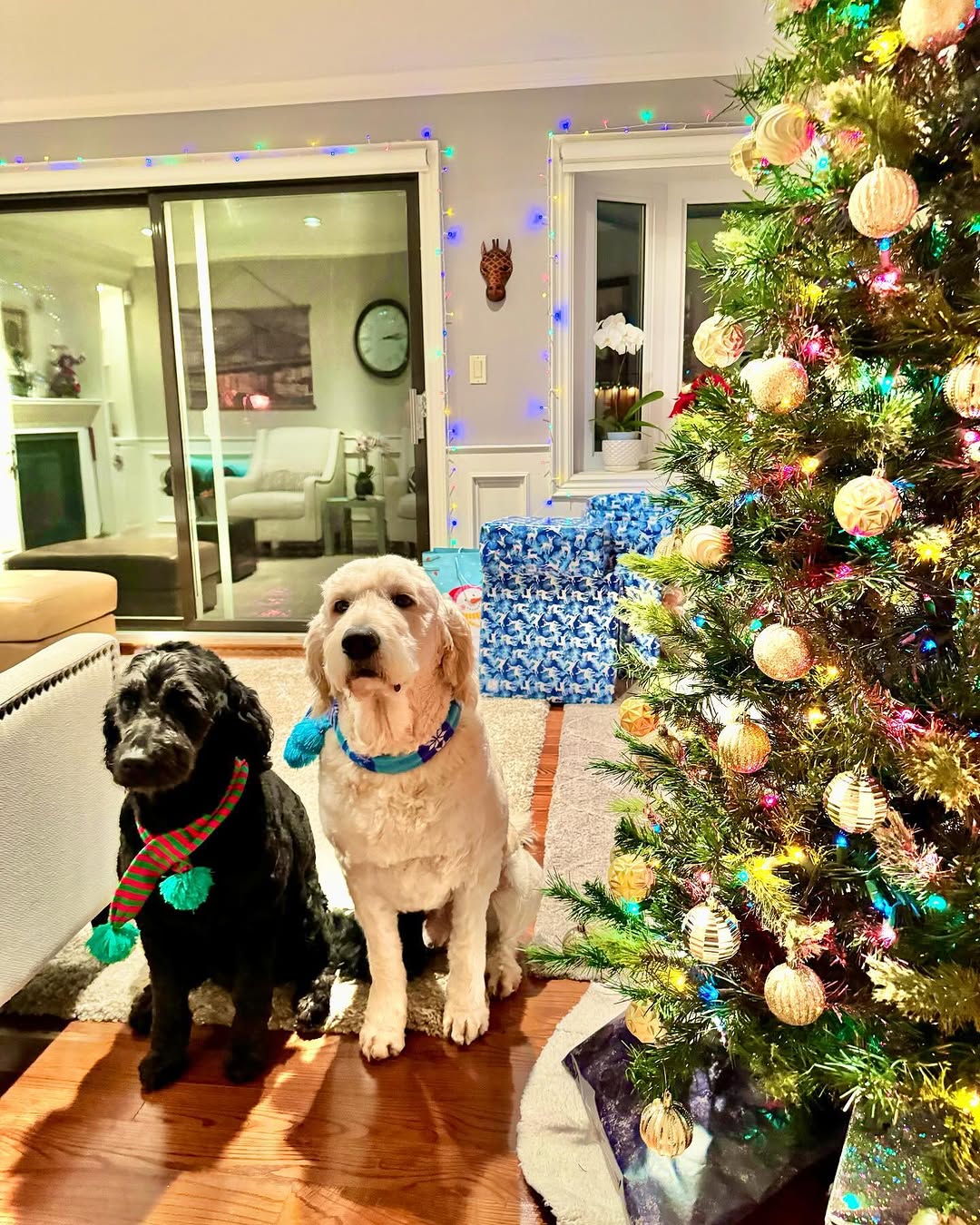 Instagram post by Sonny Doodles On Fifth