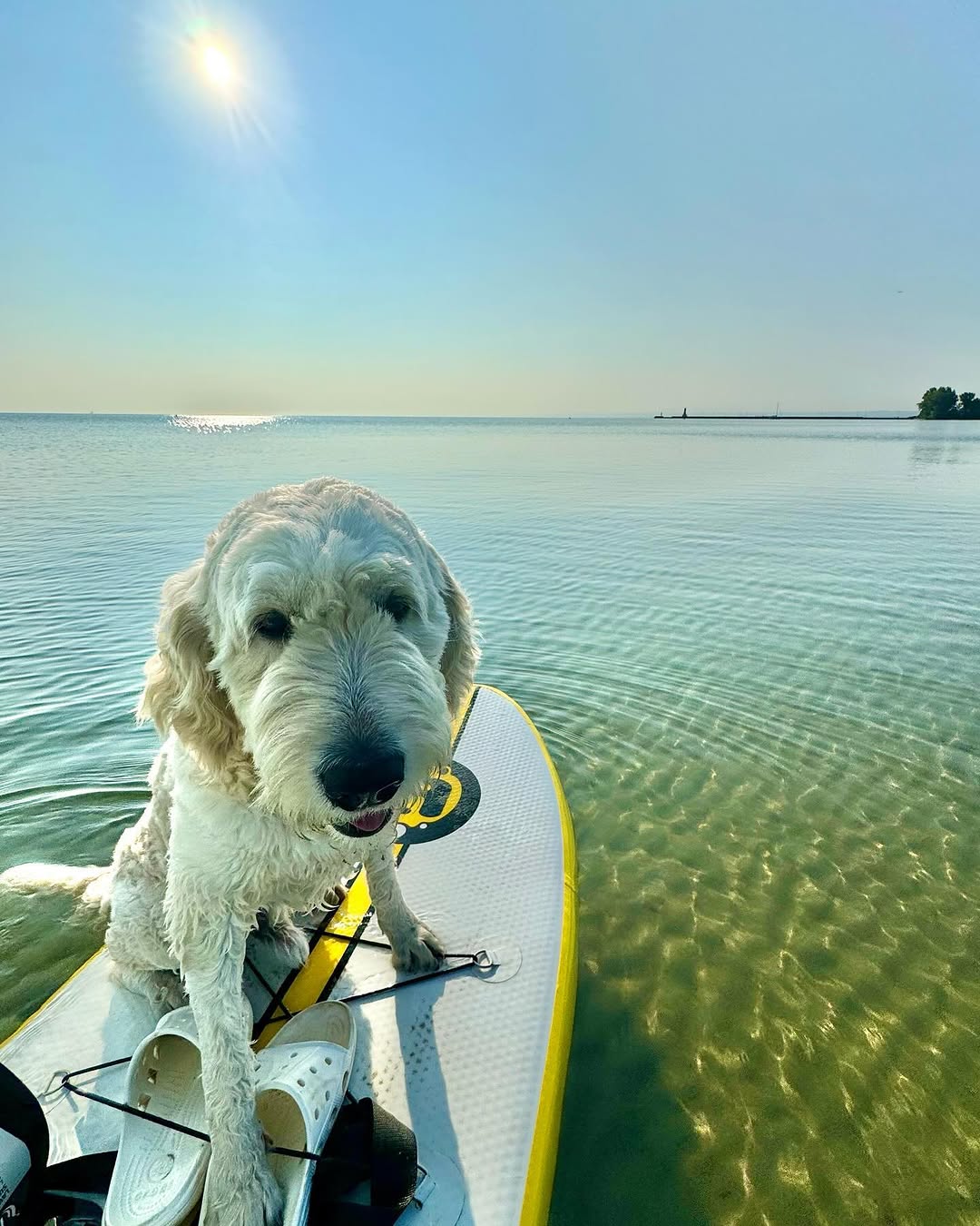 Instagram post by Sonny Doodles On Fifth