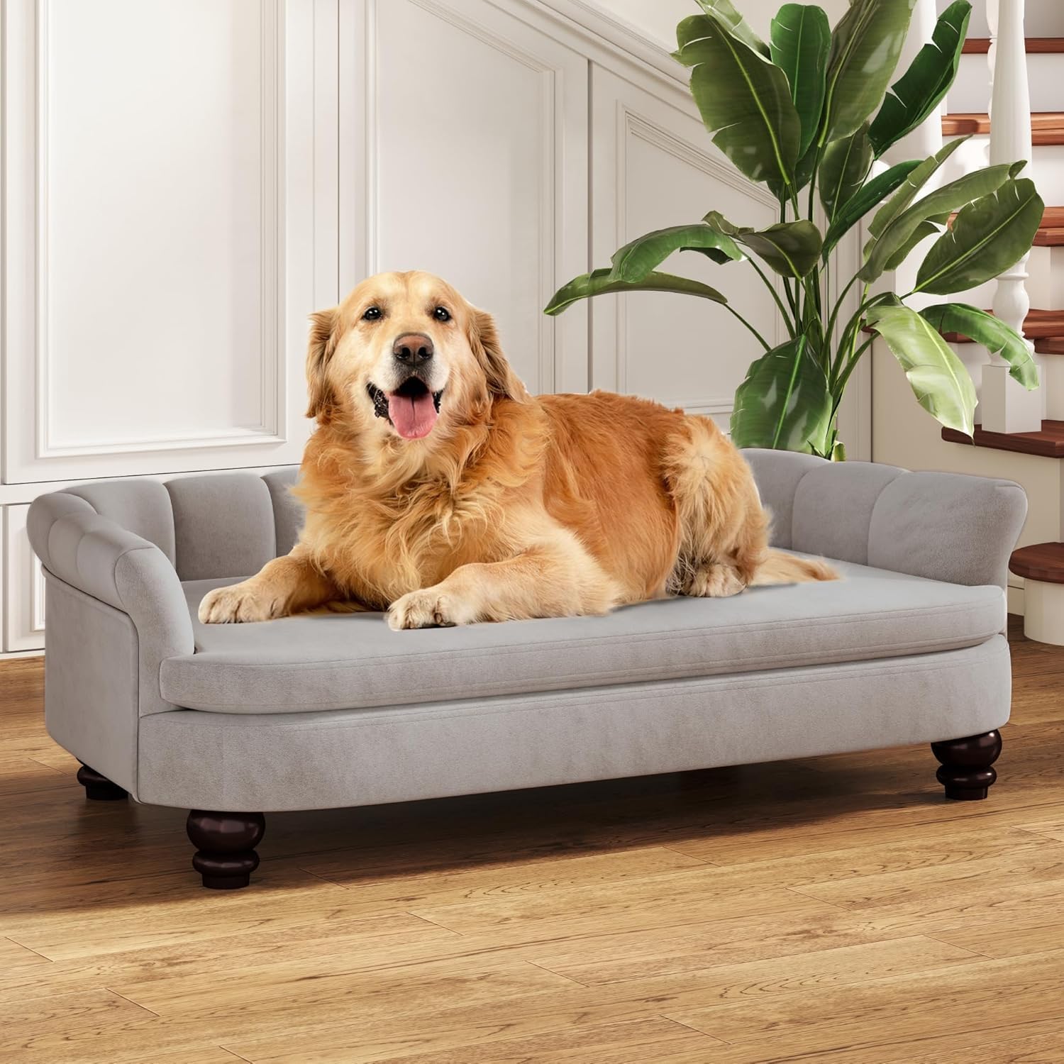 FFIJJ Dog Couch Sofa Bed for goldendoodle comfort needs